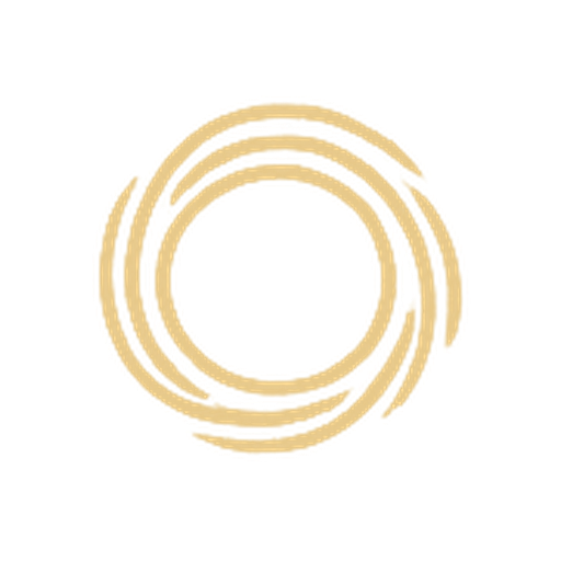Solvision Logo Augsburg